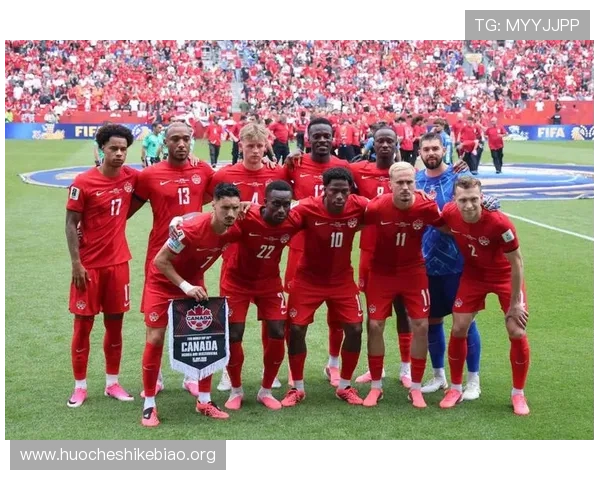 世界杯加拿大对阵波黑比赛的战术分析与两队关键球员表现总结